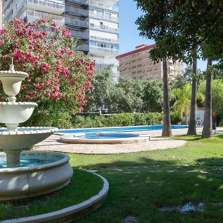 Comfy 150m From San Juan * Alicante
